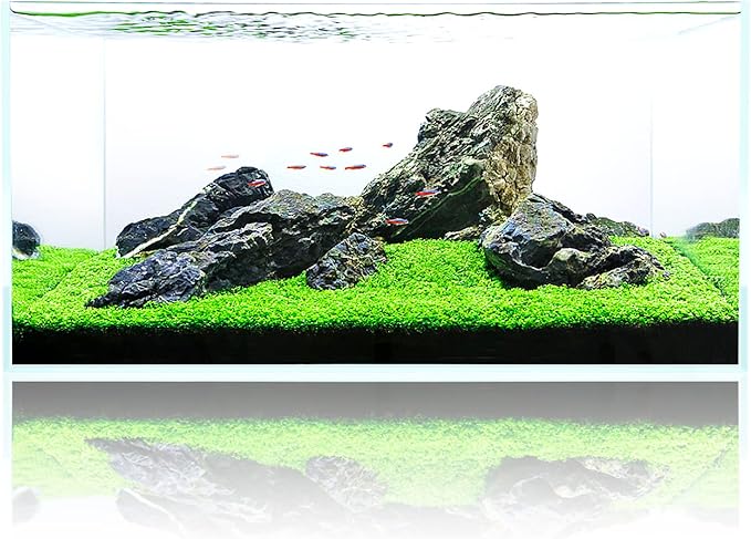 Fzone 48 Gal Rimless Low Iron Fish Tank Nova Clear Ultra-White 45° Mitered Edges Translucent Glass Anata Series Aquarium w/Black Foam Leveling Mat(S90-W45)-PurrikoPets