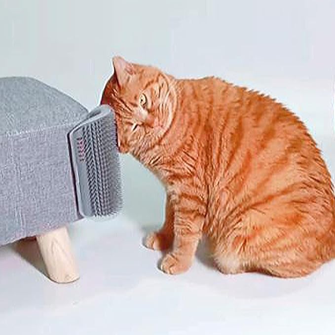 Extended (6.1") 2 Pack Self Grooming Cat Brush - Wall Corner Scratcher with Massage Combs for Long and Short Fur Cats, Kittens (Grey)-PurrikoPets