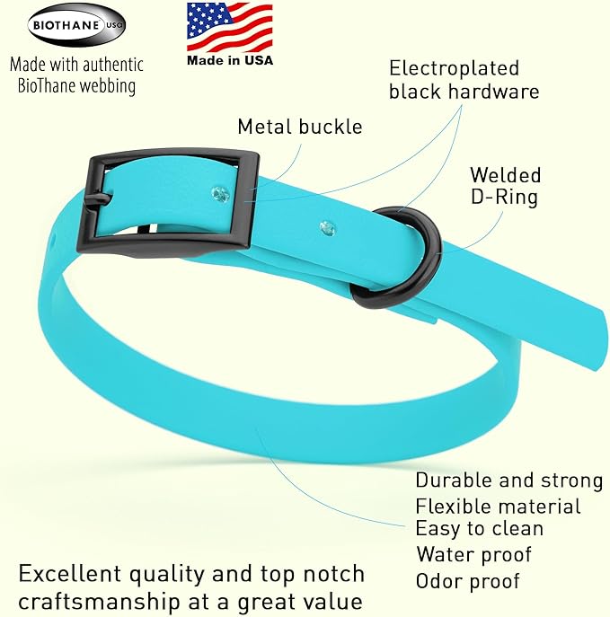 Dogline Biothane Waterproof Dog Collar Strong Coated Nylon Webbing with Black Hardware Odor- Proof for Easy Care Easy to Clean High Performance Fits Small Medium or Large Dogs, Sky Blue-PurrikoPets