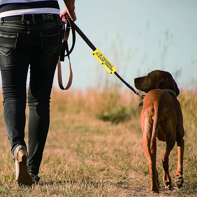 Funny Dog Leash Sleeve in Training Please Ignore Dog Leash Wrap Sleeve Alert Tag Pet Birthday Gift (Training Please Ignore-YE Sleeve)-PurrikoPets