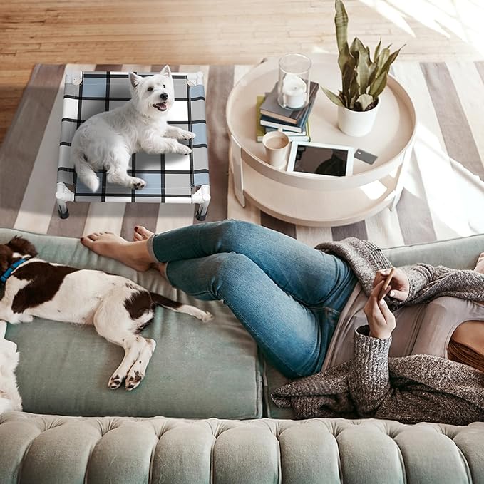Elevated Outdoor Raised Dog Bed Outdoor Dogs Bed Lifted Pet Bed Dog Cot for Pet Taste Life, Start with A Pet Bed 20'' x 20'' x 6.5''-PurrikoPets