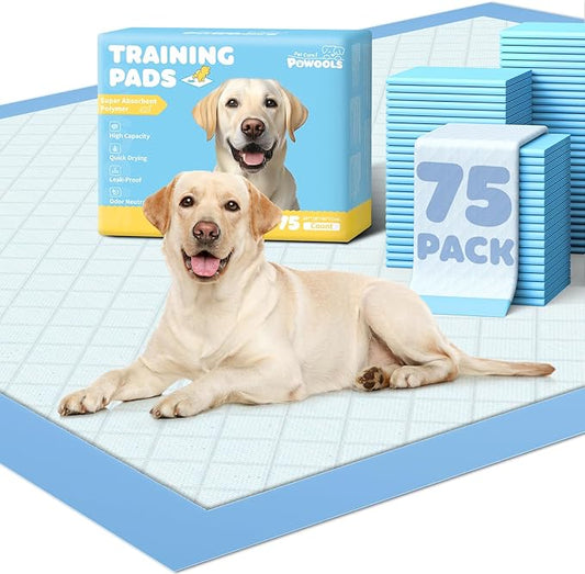 75-Pack XX-Large Puppy Pads - 38" x 28" Pee Pads for Dogs Potty Training with Leak-Proof Quick-Dry Design, 6-Layer Wee Wee Pads for Dogs, Blue-PurrikoPets