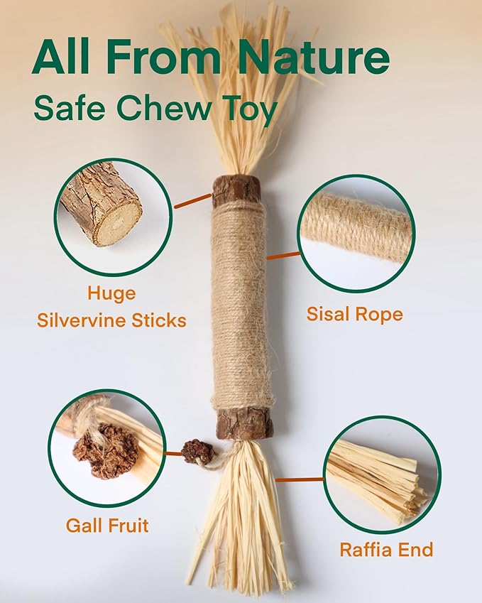 14.96 Inches Huge Silvervine Sticks Cat Toys, Large Natural Catnip Kittens Chew Toy for Teeth Cleaning,Big Catmint Blend Stick, Dental Kitty Chews for Indoor(2 Pack)-PurrikoPets