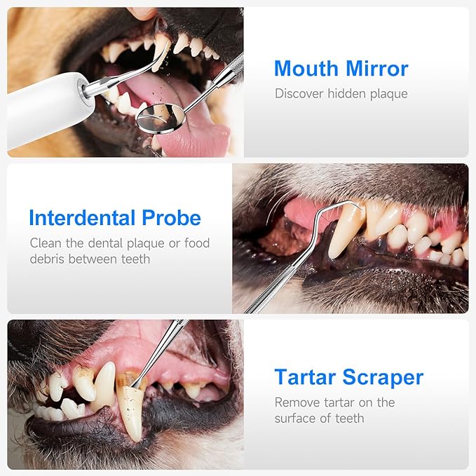 Electric Dog Plaque & Tartar Remover - Pet Teeth Cleaning Kit with LED Light, 5 Adjustable Modes, Safe and Low Noise – Easy Home Dental Care for Dogs and Cats-PurrikoPets