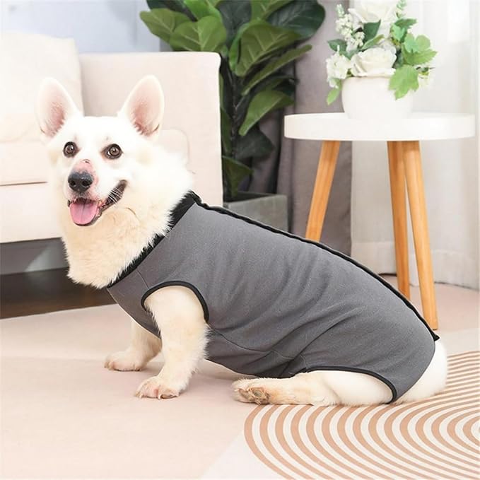 Dog Surgery Recovery Suit,Abdominal Surgical Suit for Dogs,Recovery Suit for Dogs,Prevent Licking Surgical Wound Dog Cone Alternative Grey L-PurrikoPets