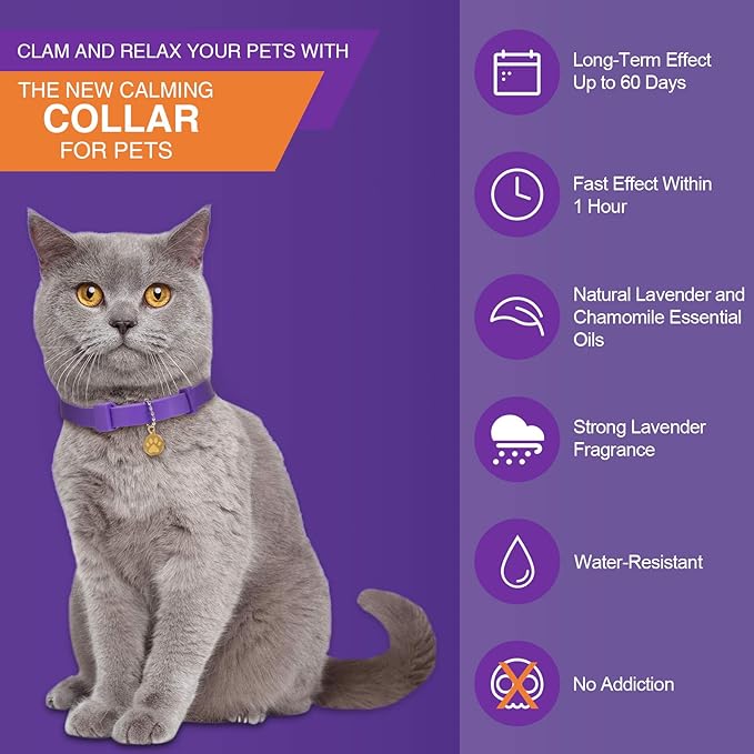 4 Pcs Cat Calming Collar Adjustable Lavender Scent Relaxing Cat Collar with 2 Pendant for Puppies Reduce Stress Aggression Anxious, up to 15 Inches(Purple, Gold)-PurrikoPets