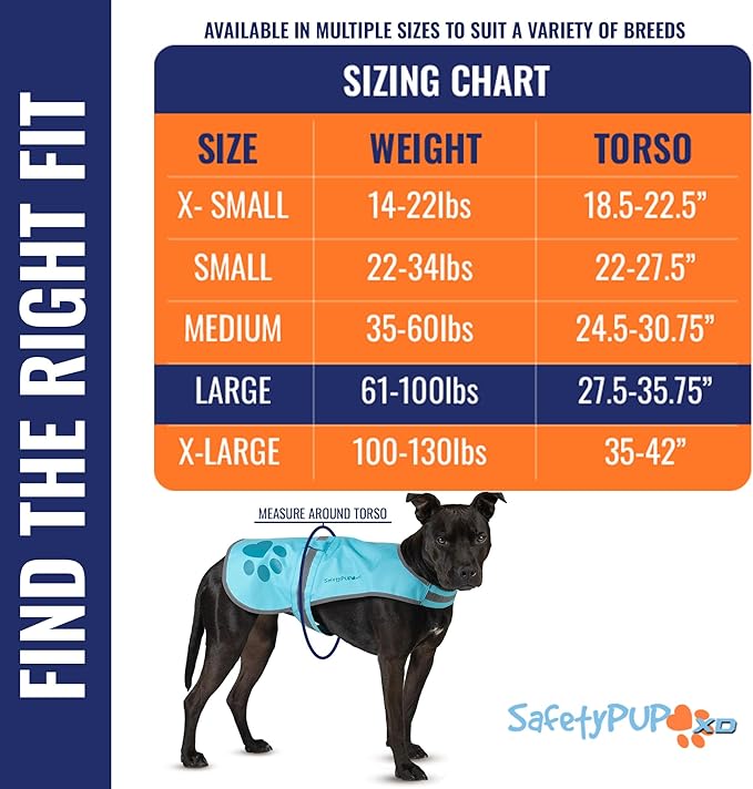 Dog Reflective Vest – Hi-Vis Fluorescent Visibility That Helps to Safeguard Your Pet On/Off Leash in Urban & Rural Areas (Teal, Large)-PurrikoPets