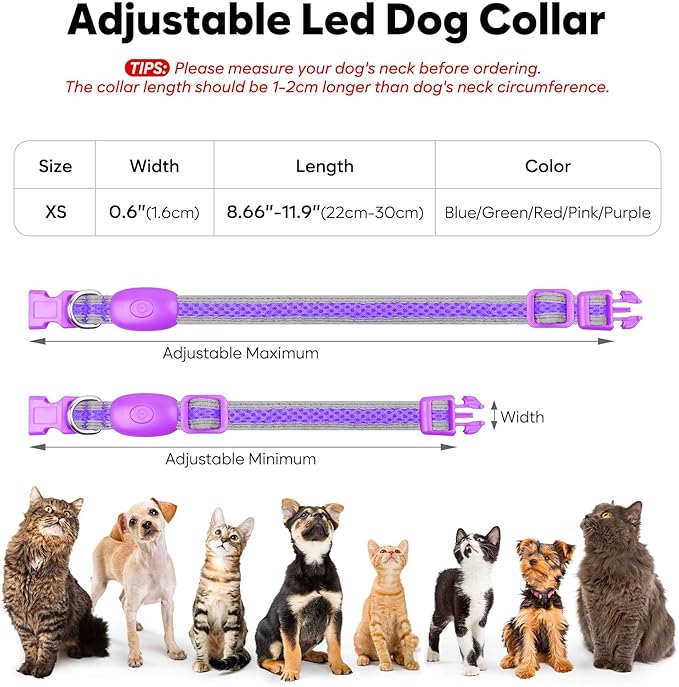 Flashseen LED Cat Collar,Light Up Dog Collar Rechargeable, Dog Lights for Night Walking, Comfortable Soft Mesh Pet Collar Adjustable for Cats Puppy and Small Dogs (Purple, XS)-PurrikoPets