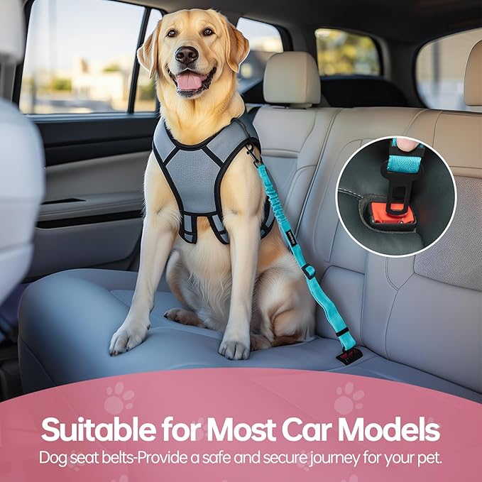 3 Pack Thickened Adjustable Dog Car Harness, Retractable Dog Car Harness Adjustable Dog Seat Belt for Car, Dog Car Leash Made of Thickened Nylon Material and Reinforced Metal Hook, Light Blue-PurrikoPets