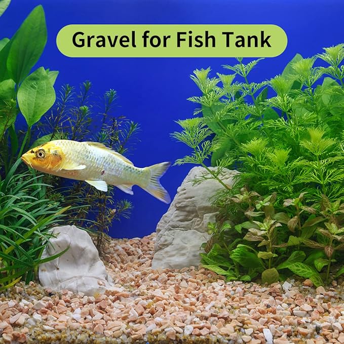 10 LB Natural Pea Gravel Small Pebbles - 3/8 Inch Decorative Pebbles for Indoor Plants,Terrarium Rocks, Outdoor Decorative Rocks, Vase, Succulent Rocks, Aquarium Gravel and Landscaping Rocks-PurrikoPets