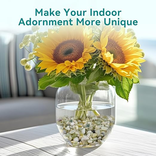 5 lbs Jade Pebbles for Indoor Plants, 1/5 Inch Succulent and Cactus Pebbles, Decorative Gravel for Vases, Bamboo,Terrarium, Crafts, Cactus-PurrikoPets