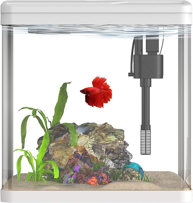 2 Gallon Glass Betta Fish Tank，Small Fish Tank with Filter and Light,Self-Cleaning Fish Tank.-PurrikoPets