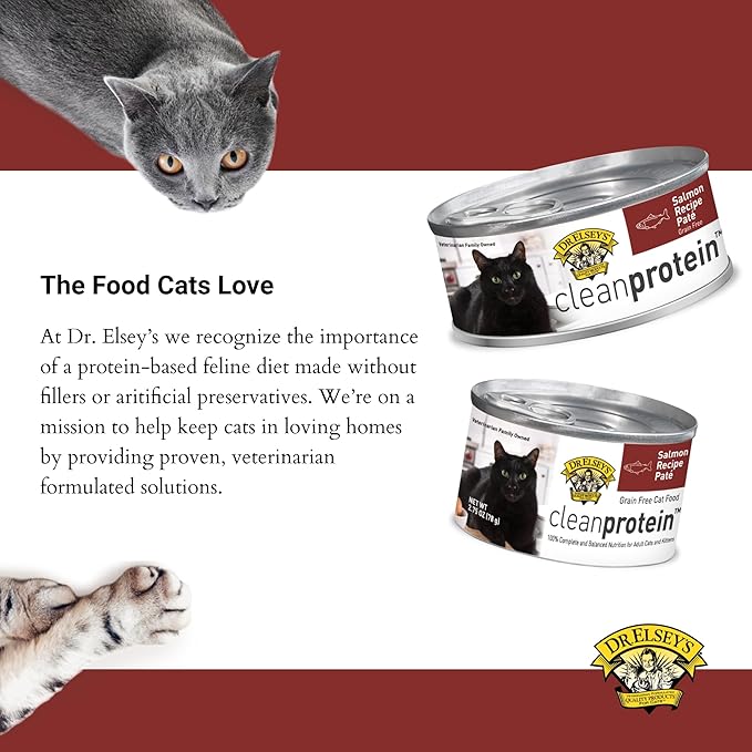 Dr. Elsey's cleanprotein Salmon Recipe Wet Cat Food, Pate 5.3 oz cans (Pack of 24)-PurrikoPets
