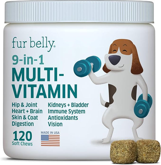 Dog Multivitamin - Dog Vitamins and Supplements - Digestive Enzymes & Probiotics - Probiotics for Dogs - for Skin and Coat Allergies - Immune System & Overall Health - 120 Soft Chew Dog Treats-PurrikoPets