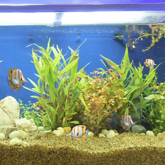 20lbs Aquarium Gravel, 1/16"(0.6-1.2mm) Natural River Rocks Succulent Cactus Pea Gravel for Plants, Fish Tank, Decorative Pebbles for Gardening, Flower Pots, Vase Fillers, Landscaping-PurrikoPets