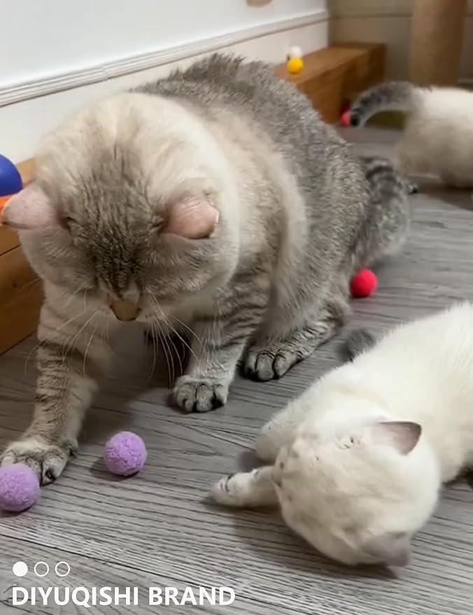 15-Pack Cat Toy Variety for Indoor Cats, Jumping for Joy (1.5'' - 3.7'', Cat Toys Mega Set)-PurrikoPets