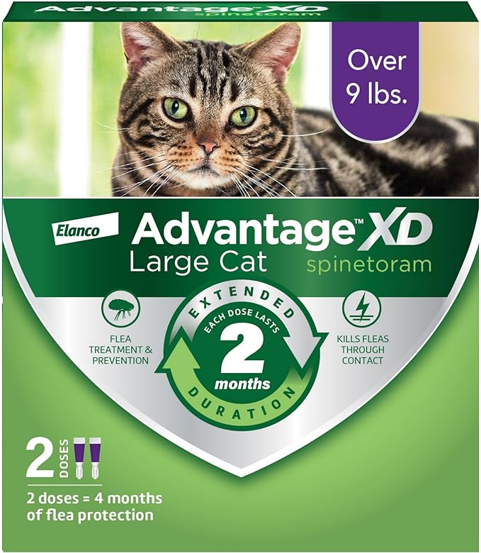 Advantage XD Large Cat Flea Prevention & Treatment For Cats over 9lbs. | 2-Topical Doses, 2-Months of Protection Per Dose-PurrikoPets