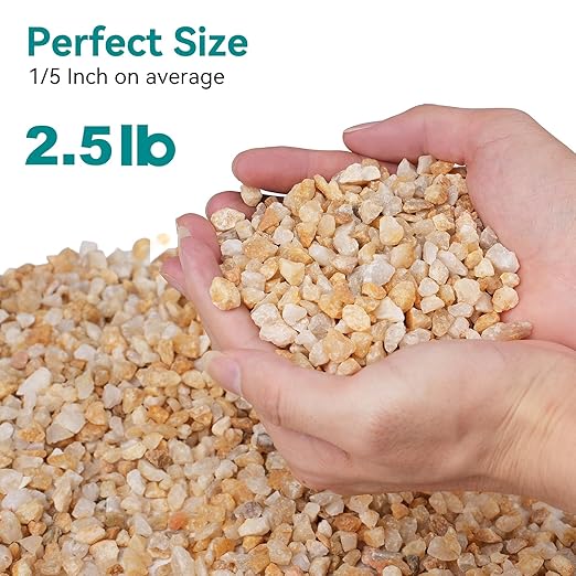 2.5 lbs Coarse Sand for Plants, 1/5 Inch Horticultural Sand for Vases, Aquariums, Terrarium, Fish Tank, Drainage Rocks for Potted Plants, Bamboo, Succulent, Crafts, Cactus-PurrikoPets