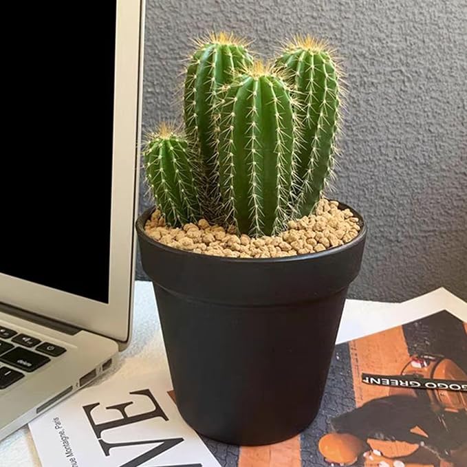 2 lbs Maifanitum Stones for Succulent,1/4 Inch Decorative Rocks for Indoor Plants, Bonsai, Soil Cover. Small Stone of Lightweight for Promote Soil Root Growth, Water Drainage and Plant Growth-PurrikoPets