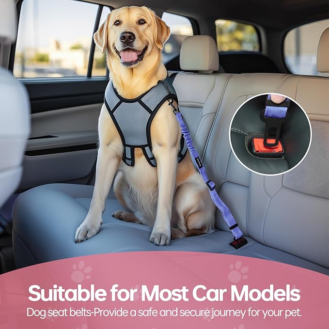 3 Pack Thickened Dog Seat Belt, Set Retractable Dog Car Adjustable Seatbelts for Vehicle Nylon Pet Safety Heavy Duty & Elastic & Durable Car Harness for Dogs, Blue-PurrikoPets
