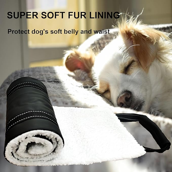 Dog Lift Harness - Adjustable Sling for Rear Legs with Soft Support for Senior, Injured, Disabled Dogs After ACL Surgery - Helping Pets with Canine Aid and Rehab Support (M)-PurrikoPets