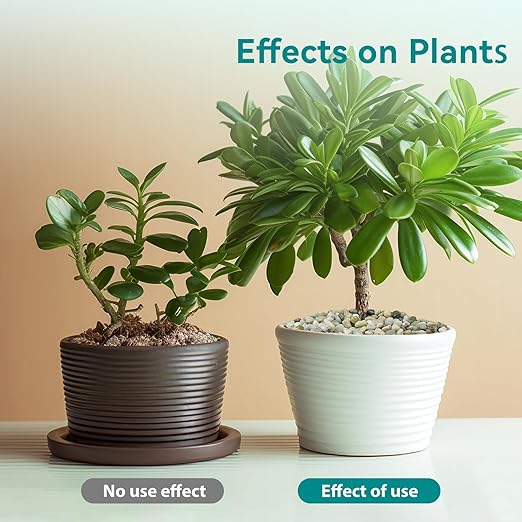 5 lbs Jade Pebbles for Indoor Plants, 3/8" Plant Rocks for Pots Indoor, Decorative Small Stones for Plants, Bamboo,Vase, Succulent, Highly Polished Small River Rocks-PurrikoPets