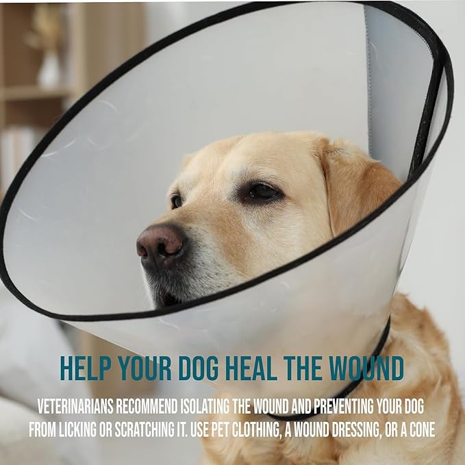 Forticept Blue Butter – Hot Spot Treatment for Dogs | Dog Wound Care | Skin Yeast Infections, Ringworm, Cuts, Rashes, First Aid Veterinary Strength Topical Ointment 4oz-PurrikoPets