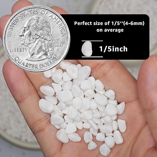 1/5 Inch White Succulent Cactus Gravel, 5 lbs – Ideal for Succulent Plant Pots, Vase Fillers, Glass Containers, Aquariums, Patios, and Outdoor Gardening River Stones (White, 5 Pounds)-PurrikoPets