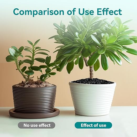 2.5 lbs Black Pebbles for Indoor Plants, 3/8" Small Rocks for Plants Indoor, Succulent, Bamboo, Vase, Decorative Black River Rocks Pea Gravel, Highly Polished-PurrikoPets