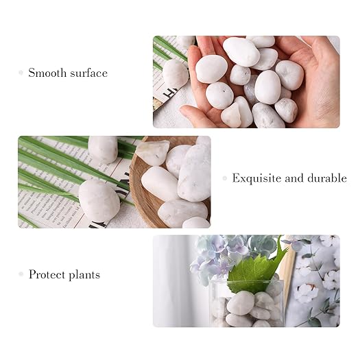 DomeStar 2.7lb White River Rocks, Polished Pebbles Decorative White Stones for Landscaping Vase Filler Fish Tank Aquariums Garden Outdoor and Indoor DIY-PurrikoPets