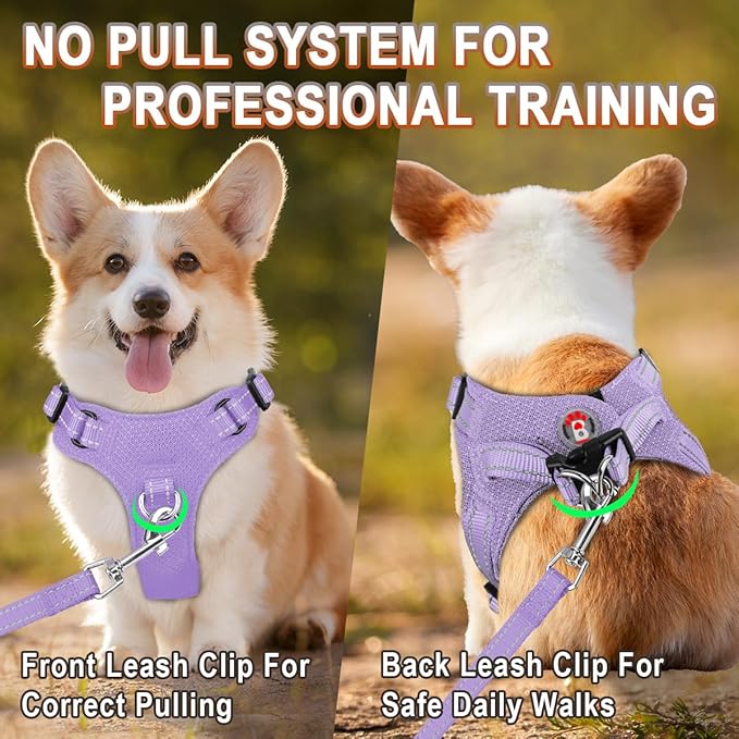 Dog Harness Step in Dog Vest Harness, Reflective Adjustable Puppy No Pull Harness Breathable Soft for Small and Medium Dogs Cats, Violet Purple, XS-PurrikoPets