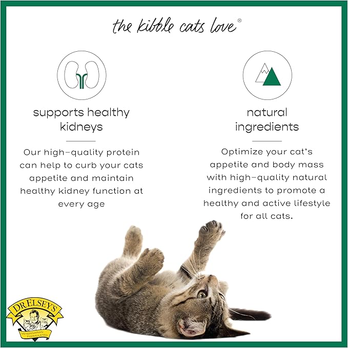 Dr. Elsey's cleanprotein Dry Kibble Duck 6.6 lb Bag-PurrikoPets