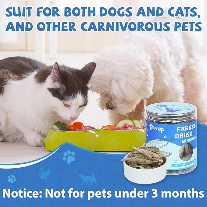 Freeze Dried Minnows Cat Treats – 100% Natural, Single-Ingredient Pet Snacks – Rich in Omega-3, Grain-Free – Healthy Training Rewards & Meal Toppers for Dogs & Cats, 2.8 oz-PurrikoPets