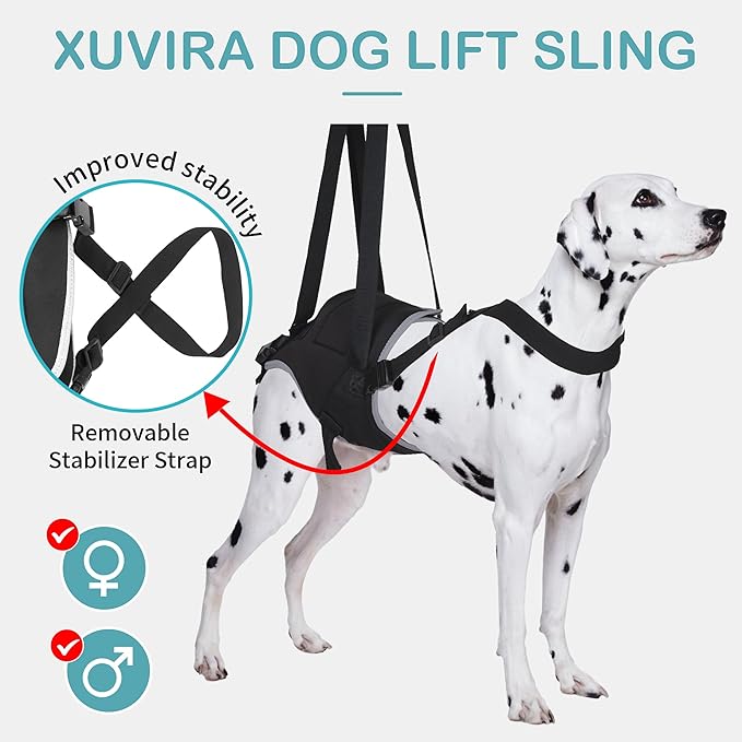 Dog Lift Harness for Large Dogs – Hind Leg Support Sling for Muscle Atrophy, Joint Pain, and Senior Pets, Adjustable Design Helps with Walking, Stairs, and Daily Mobility, L-PurrikoPets