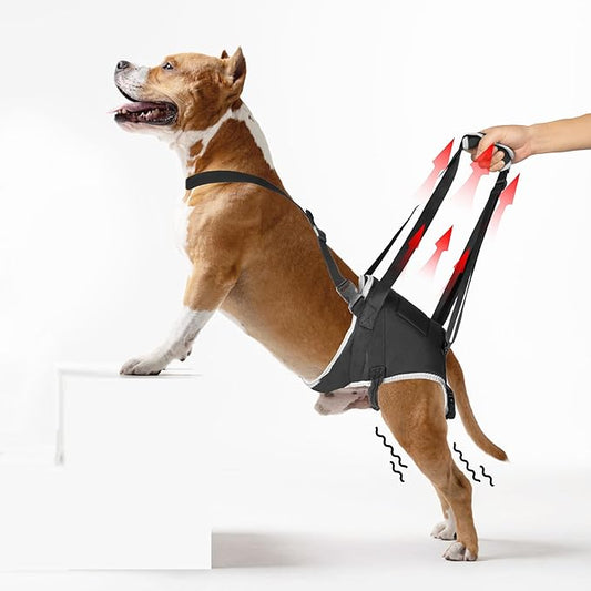 Dog Lift Harness for Extra Large Dogs – Hind Leg Support with Chest Stabilizer Straps, Adjustable Elastic and Buckles, Helps with Hip Dysplasia, Joint Pain, and Mobility, Easy to Wear, XL-PurrikoPets