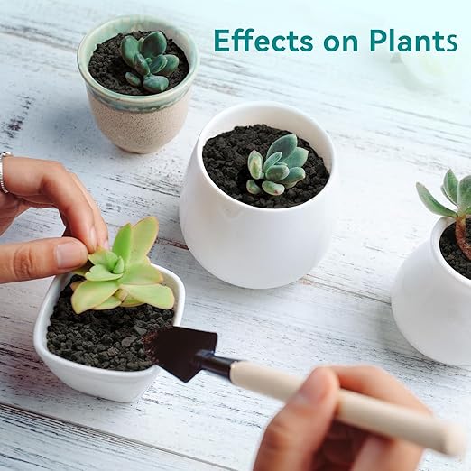 5lbs Small Lava Rocks for Plants Drainage, 1/5 Inch Black Gravel Mulch for House Plants, Succulent Rocks Pebbles for Planters,Cactus, Bonsai Tree, Pure Volcanic Rocks, Top-Dressing-PurrikoPets