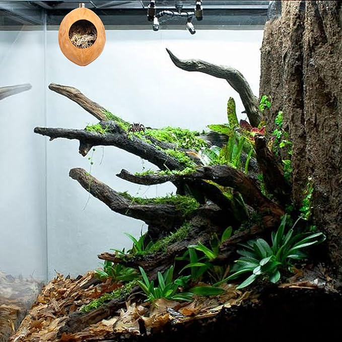 2 Pack Jumping Spider Enclosure Accessories with Walnut Shell Moss and Magnet, Natural Material Jumping Spider Hide-PurrikoPets