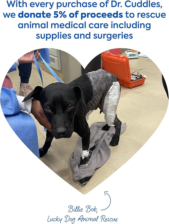 Foaming Dog Dry Shampoo, Travel Size Waterless Dog Shampoo No Rinse, Waterless Cat Shampoo, Natural Botanicals & Deodorant for Dogs & Cats, Vet Formulated, Cleans & Conditions, Summer Pawty Pack of 6-PurrikoPets