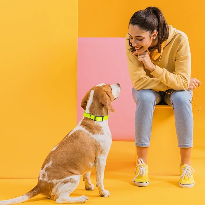 Dogline Biothane Waterproof Dog Collar Strong Coated Nylon Webbing with Black Hardware Odor- Proof for Easy Care Easy to Clean High Performance Fits Small Medium or Large Dogs, Safety Yellow-PurrikoPets