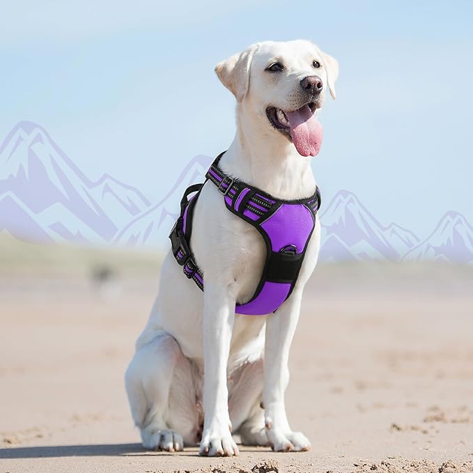 Eagloo Dog Harness for Large Dogs, No Pull Service Vest with Reflective Strips and Control Handle, Adjustable and Comfortable for Easy Walking, No Choke Pet Harness with 2 Metal Rings, Purple, L-PurrikoPets