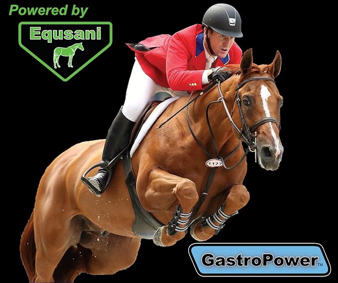 GastroPower Digestible Free Fatty Acid Feed Concentrate for Horses-PurrikoPets