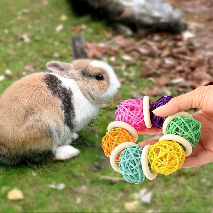 2 Pcs Natural Grass Chew Balls for Rabbits, Chinchillas, Hamsters & Mice - Safe Dental Health Toys for Teeth Grinding, Chewing & Dental Care, Small Animal Enrichment Chew Toys-PurrikoPets