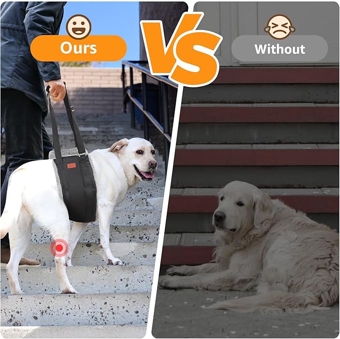 Adjustable Dog Lift Harness, Dog Sling for Large Dogs Hind Leg Support, Soft Lift Support Helps Senior, Injured, Disabled and After ACL Surgery Dogs-Black & Grey (Large)-PurrikoPets