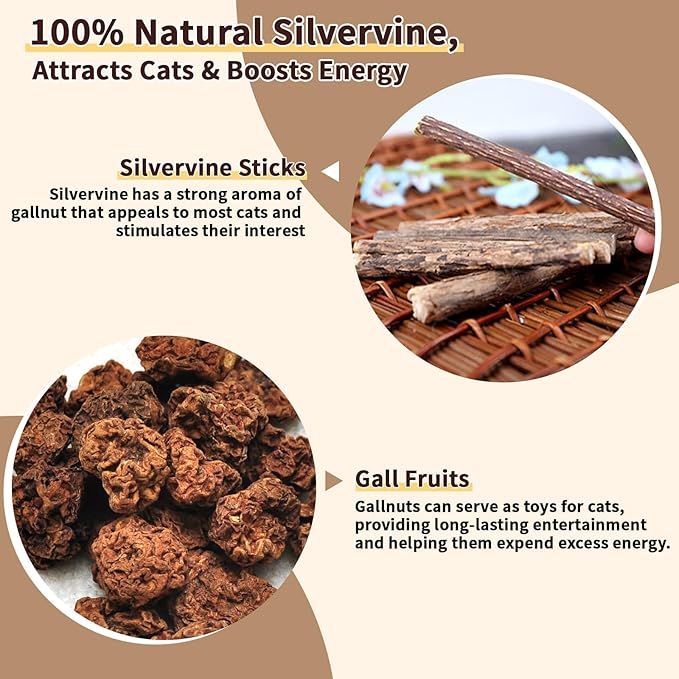 6 Pack Silvervine Cat Chew Toys, Natural Dental Sticks for Indoor Cats, Kittens Teeth Cleaning, Catnip Alternative, Interactive Play, Yellow-PurrikoPets