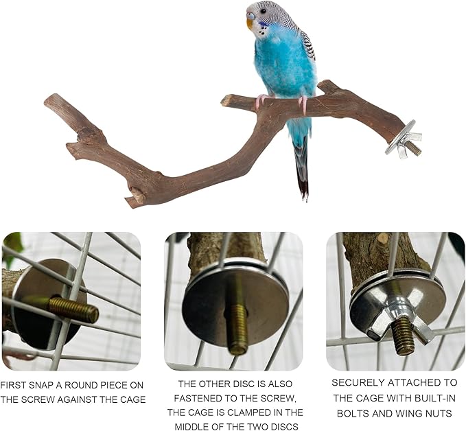 5PCS Bird Perch Stand Natural Wooden Parrot Stand Branch,3 Grape Wood Perch,2 Stand,Paw Grinding Fork Parakeet Chewing Stick Exercise Training Branches for Cockatiels,Small Medium Birds-PurrikoPets