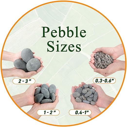 5 lbs Mexican Beach Pebbles, 2-3 Inch Decorative River Rocks for Fish Tank Aquarium Fountain, Decorative Pebbles for Garden Landscaping, Home Décor, Outdoor Paving Walkways Pathways Backyard-PurrikoPets