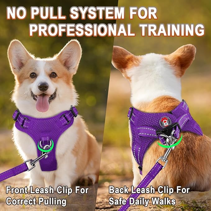 Dog Harness Step in Dog Vest Harness, Reflective Adjustable Puppy No Pull Harness Breathable Soft for Small and Medium Dogs Cats, Purple, S-PurrikoPets