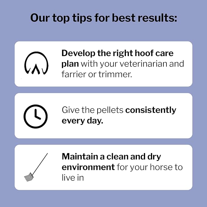 Formula 707 Hoof Health Equine Supplement, Daily Fresh Packs, 56 Day Supply - Biotin, Amino Acids, and Minerals to Improve and Support Healthy Horse Hooves-PurrikoPets