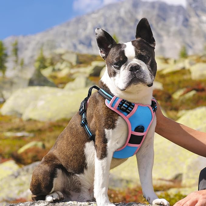 Eagloo Dog Harness for Large Dogs, No Pull Service Vest with Reflective Strips and Control Handle, Adjustable and Comfortable for Walking, No Choke Harness with 2 Metal Rings, Pink & Blue, M-PurrikoPets