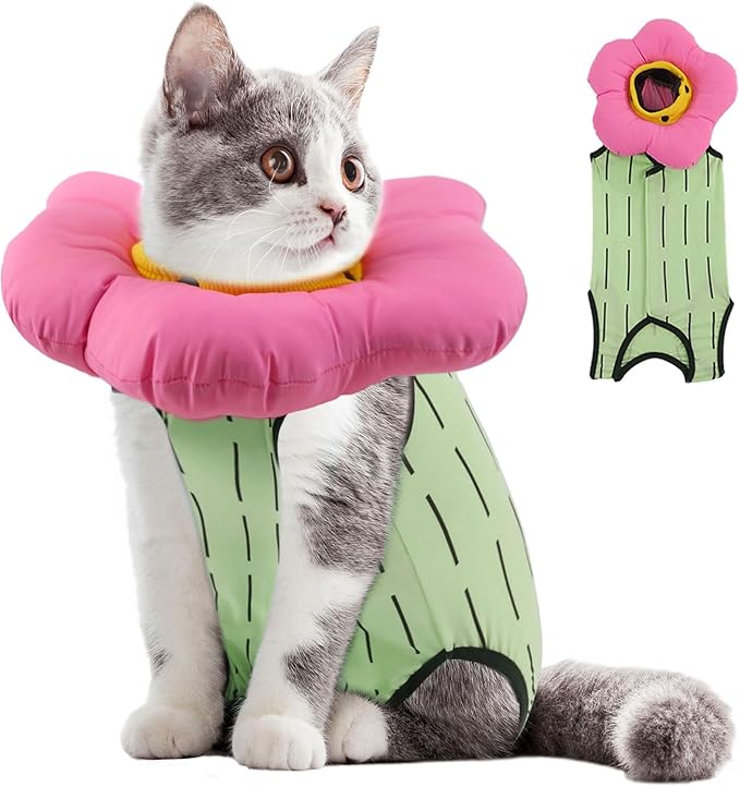 EMUST Cute Cat Recovery Suit and Adjustable Flower Cone Collar Set - Soft Surgical Suit for Abdominal Wounds, Cat Cones After Surgery for Female Kittens Under 4lb (Green)-PurrikoPets